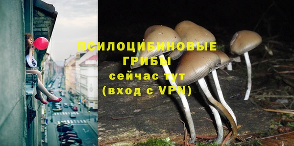 2c-b Беломорск