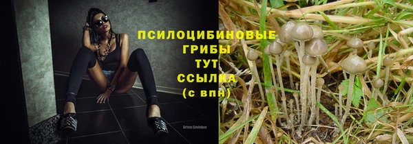 МДПВ Белоозёрский