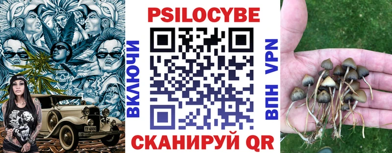 Галлюциногенные грибы прущие грибы  купить  цена  Вязьма 