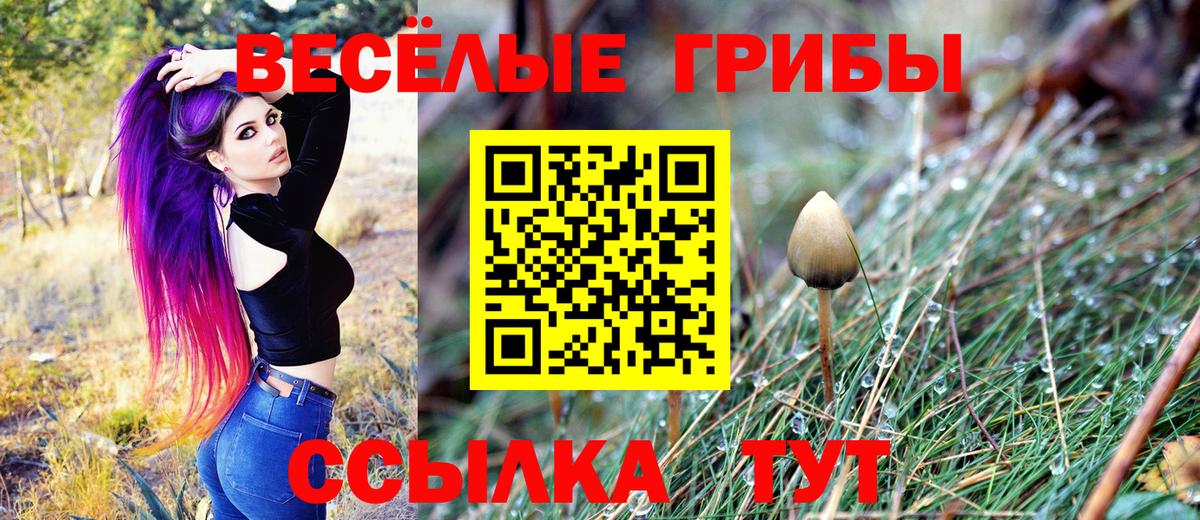 Вязьма  Галлюциногенные грибы Magic Shrooms  где найти   Вход с VPN 