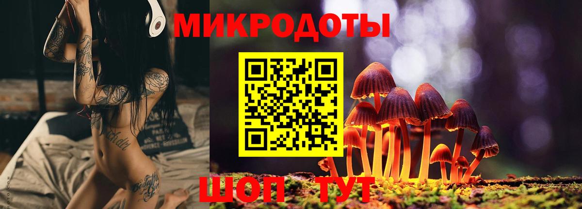 Псилоцибиновые грибы Psilocybine cubensis Вязьма