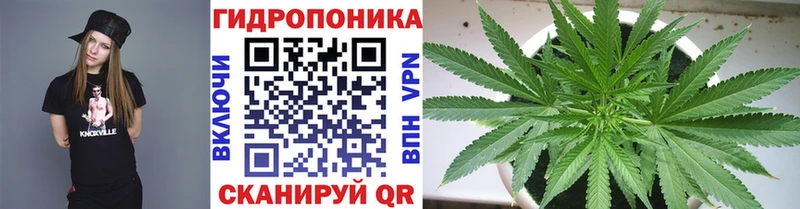 купить   Вязьма  Бошки марихуана гибрид 